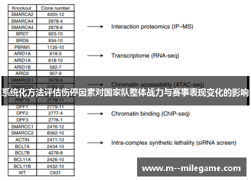 系统化方法评估伤停因素对国家队整体战力与赛事表现变化的影响